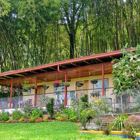 Finca Turistica Los Rosales Перейра Екстериор снимка