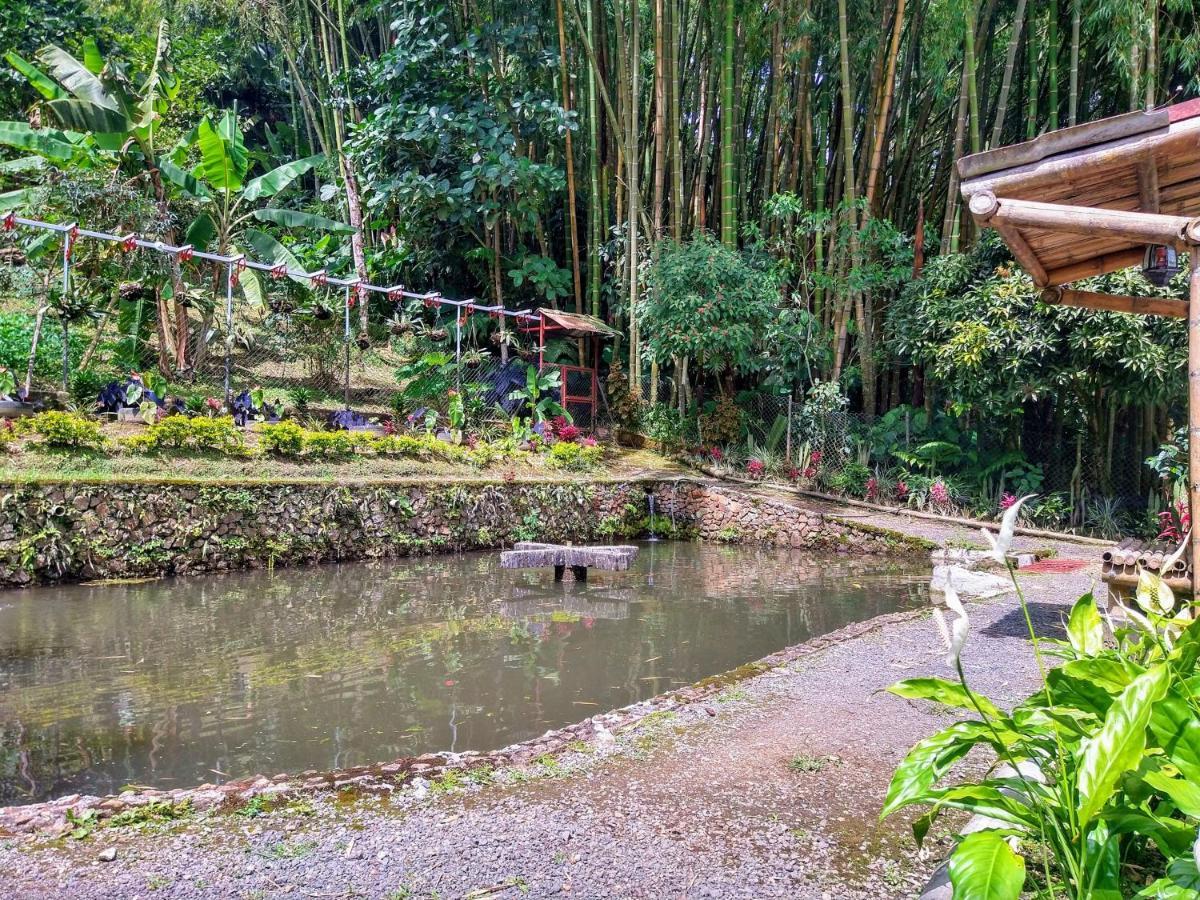 Finca Turistica Los Rosales Перейра Екстериор снимка
