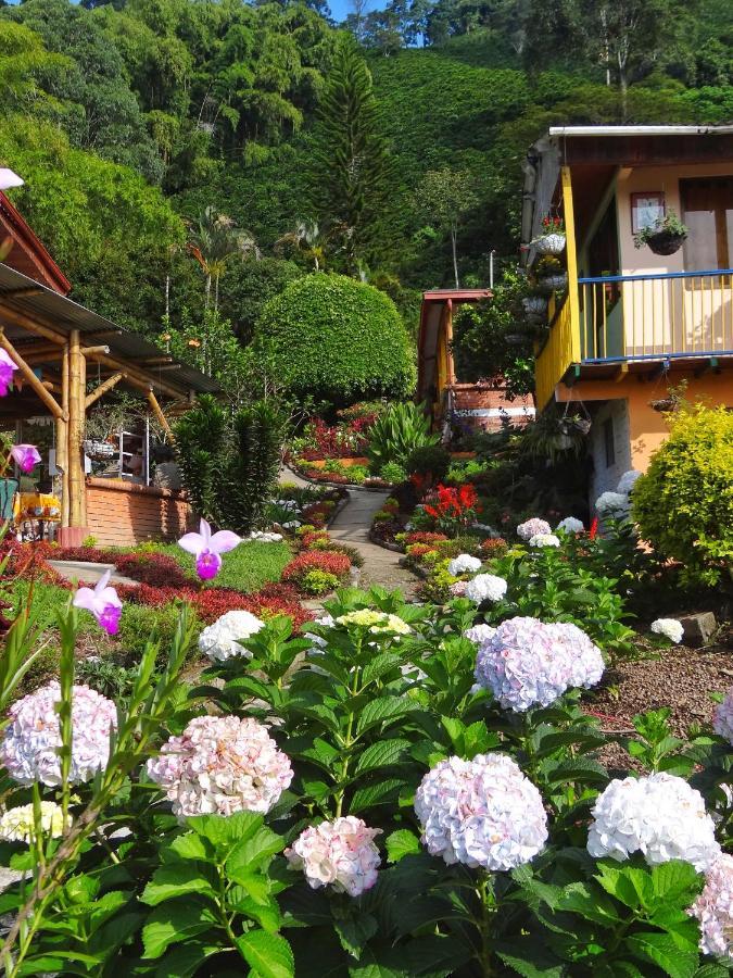 Finca Turistica Los Rosales Перейра Екстериор снимка
