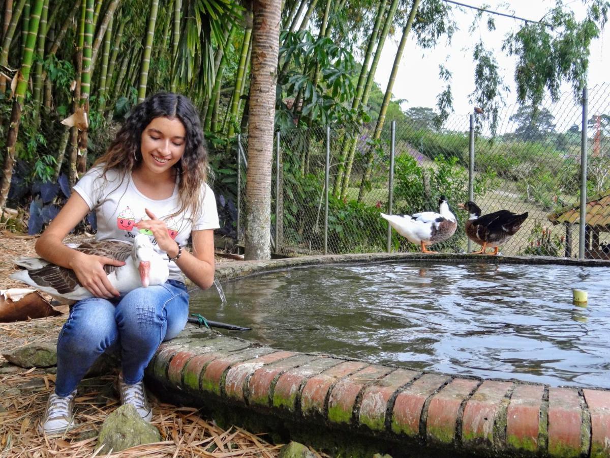 Finca Turistica Los Rosales Перейра Екстериор снимка